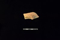 藏品(陶片)的圖片